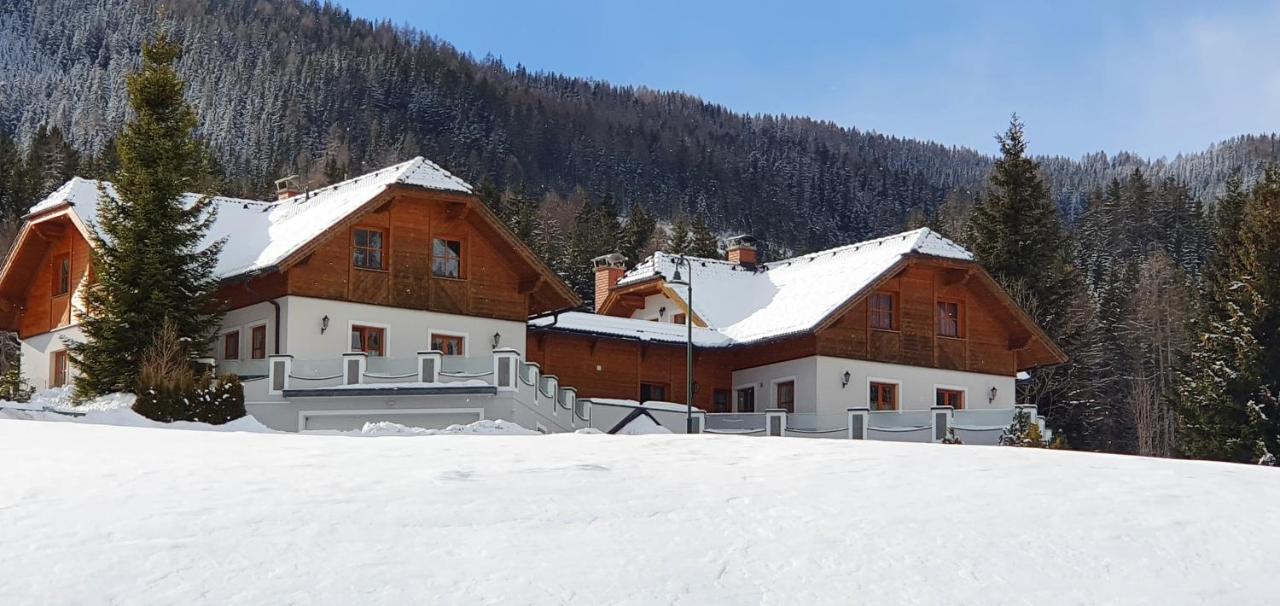 Ferienhaus Alpenblick Krakauschatten Eksteriør bilde